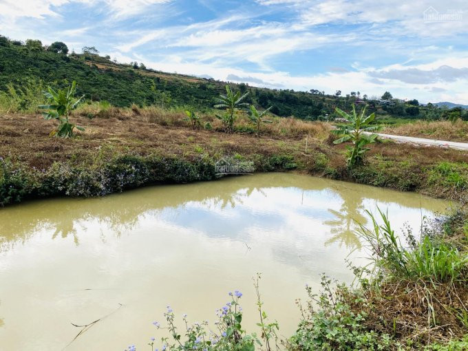 Chính Chủ Bán Nhanh đất Thôn 2 Mê Linh, Giáp Suối Cam Ly Chỉ 780 Tr/ 1000m, Cách Tt đà Lạt 18 Km, Lên Full Thổ Cư 2