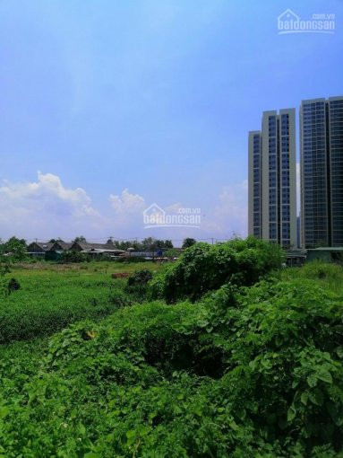 Chính Chủ Bán Nhanh đất Vườn 4400m2 - đối Diện Vinhome - đường Nguyễn Xiển - Plong Thạnh Mỹ - Q9 *** 15 Triệu/m2 1