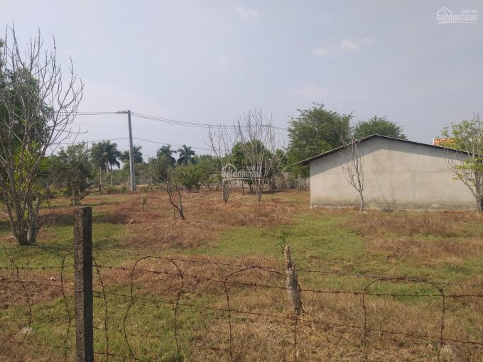 Chính Chủ Bán Nhanh đất Vườn 4544m2 - Mặt Tiền đường Long Phước - Plong Phước - Q9 - Giá Siêu Rẻ 62 Triệu/m2 2