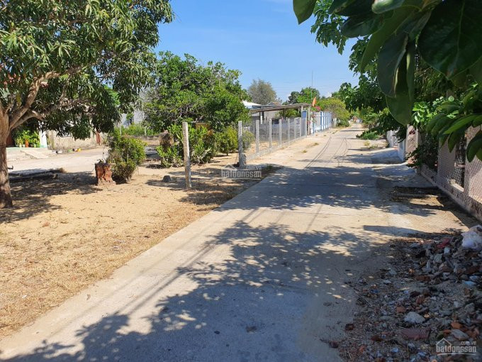 Chính Chủ Bán Nhanh Gấp 276m2 (6*46m) Hai Mặt Tiền Trước Và Sau Khối Phố Tân Khai, Phường điện Dương 1
