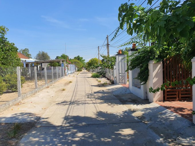 Chính Chủ Bán Nhanh Gấp 276m2 (6*46m) Hai Mặt Tiền Trước Và Sau Khối Phố Tân Khai, Phường điện Dương 4