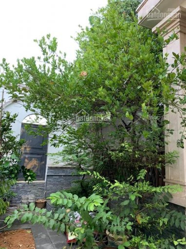 Chính Chủ Bán Nhanh Gấp Biệt Thự Bên Sông N 12 X D 20, đường 25, P Hbc Sát Tttm Gigamall, Lh 0907576959 2