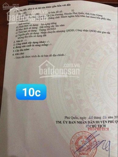 Chính Chủ Bán Nhanh Lô đất Hơn 10 Công Tại Cửa Dương, Phú Quốc, Giá đầu Tư Cực Rẻ 1