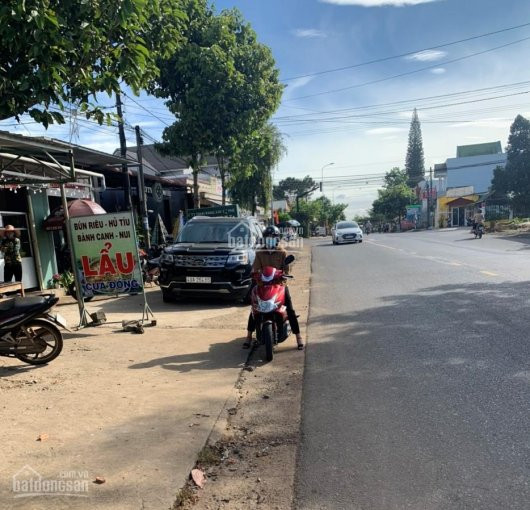 Chính Chủ Bán Nhanh Lô đất Ngay Dốc Sương Mù Thành Phố Bảo Lộc, 10x20m, Giá 600 Triệu 5