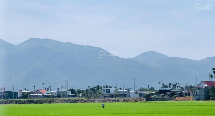 Chính Chủ Bán Nhanh Nhà Diên Toàn Ngay Bến Xe Chợ đầu Mối Diên Khánh, View đồng Lúa, Giá 1,5 Tỷ 4