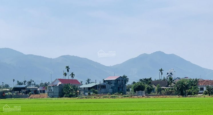 Chính Chủ Bán Nhanh Nhà Diên Toàn Ngay Bến Xe Chợ đầu Mối Diên Khánh, View đồng Lúa, Giá 1,5 Tỷ 7