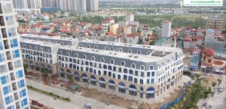 Chính Chủ Bán Nhanh Shop Khu Thương Mại Dịch Vụ Tam Giác Vàng, Ruby Tại Vinhomes Ocean Park Gia Lâm 3