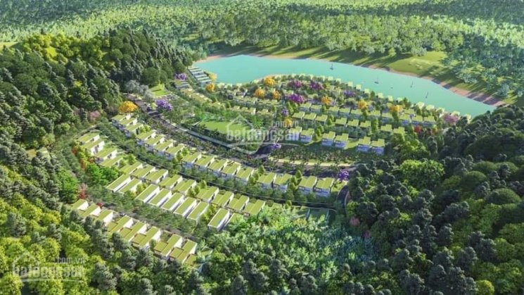 Chính Chủ Cần Bán 10500m2 đất Tại Ngọc Thanh, Phúc Yên, Vĩnh Phúc Gần Venus 2 Flamingo đại Lải 1