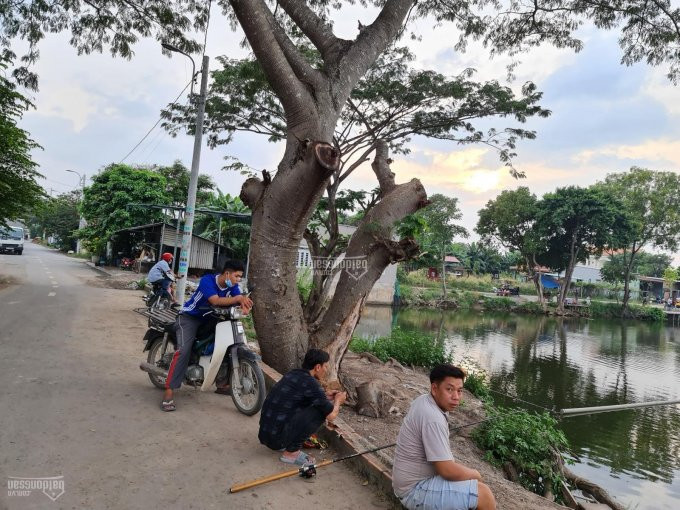 Chính Chủ Cần Bán Lô đất Một Sẹc đường Phan Văn Hớn, ấp 5 Xã Xuân Thới Thượng, 953,2 M2 4