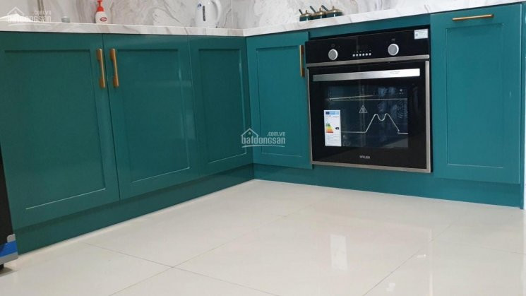 Chính Chủ Cần Cho Thuê Gấp Căn Hộ Celadon City Emerald 2pn 1wc 66m2 Có Bay Window, Full Ntcc, Lh: 0938461475 7