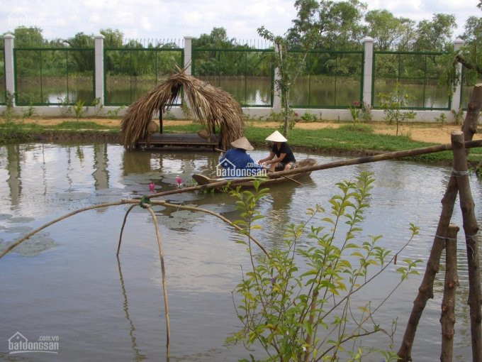 Chính Chủ Cần đất Nhà Bán Khu Dinh Thự Nghỉ Dưỡng Bờ Sông Giồng ông Tố An Phú, Quận 2 Giá Chỉ 55tr/m2 2