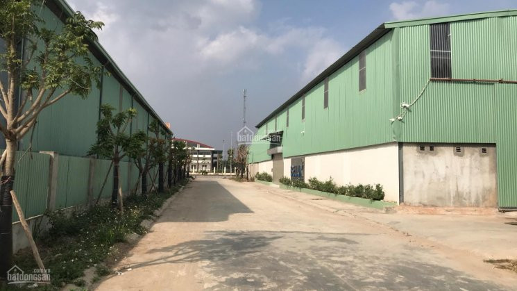 Chính Chủ Cho Thuê Nhanh 500m2, 1000m2, 1500m2, 2500m2 Kho Xưởng Tại Nguyên Khê, Huyện đông Anh, Thành Phố Hà Nội 3