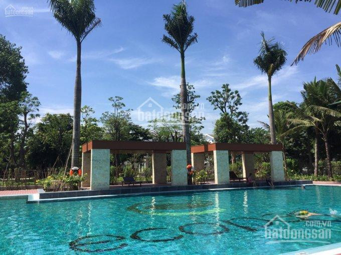 Chính Chủ Cho Thuê Nhanh Biệt Thự Mimosa - Ecopark, Full Nội Thất, Nhà Mới Siêu đẹp Lh: 0967666683 4