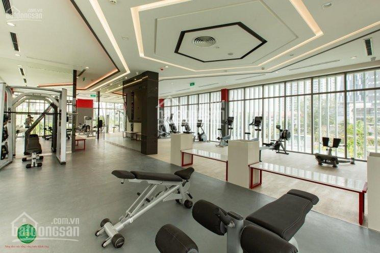 Chính Chủ Cho Thuê Nhanh Căn Hộ Chung Cư Saigon South Residence Có 3 Máy Lạnh, Bếp, Máy Nước Nóng, Rèm Giá 11tr/th 4