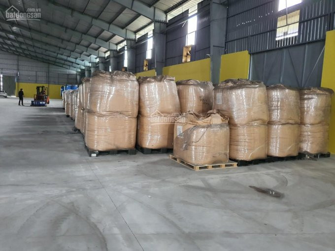 Chính Chủ Cho Thuê Nhanh Kho, Nhà Xưởng Dt 50000m2 Trong Khuôn Viên 80000m2, Góc Hai Mặt Tiền Tại Kcn Biên Hòa 1 7