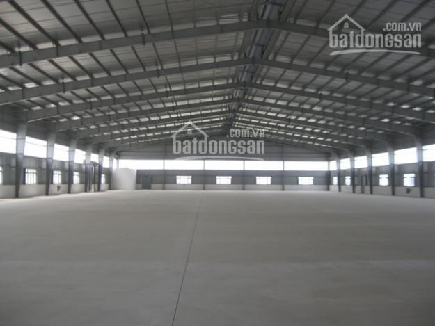 Chính Chủ Cho Thuê Nhanh Kho Xưởng 1000m2 đường Trần Văn Giàu, Bình Chánh 50 Tr/tháng, Xin Lh: 0966900650 1