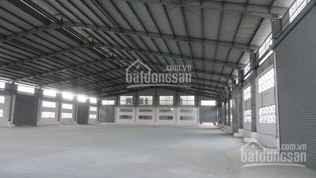 Chính Chủ Cho Thuê Nhanh Kho Xưởng 2600m2 đường Nguyễn Cửu Phú, Q Bt, Giá Thuê 180tr/tháng, Xin Lh: 0966900650 1