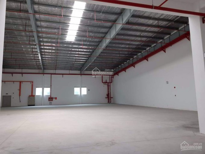 Chính Chủ Cho Thuê Nhanh Kho Xưởng 300m2 Tên Lửa, Q Bình Tân Giá 24tr/tháng Lh: 0966900650 1