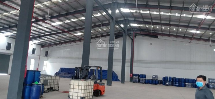 Chính Chủ Cho Thuê Nhanh Kho Xưởng Tổng Diện Tích 40000m2 Nằm Trong Trung Tâm Công Nghiệp Của Kcn An Phước 4