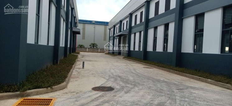 Chính Chủ Cho Thuê Nhanh Kho Xưởng Tổng Diện Tích 40000m2 Nằm Trong Trung Tâm Công Nghiệp Của Kcn An Phước 6