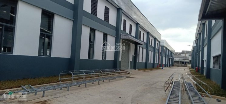 Chính Chủ Cho Thuê Nhanh Kho Xưởng Tổng Diện Tích 40000m2 Nằm Trong Trung Tâm Công Nghiệp Của Kcn An Phước 7