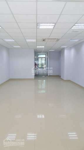 Chính Chủ Cho Thuê Nhanh Văn Phòng Tại 146 Trần Bình đối Diện Dolphin Plaza, Nam Từ Liêm, Hà Nội 2