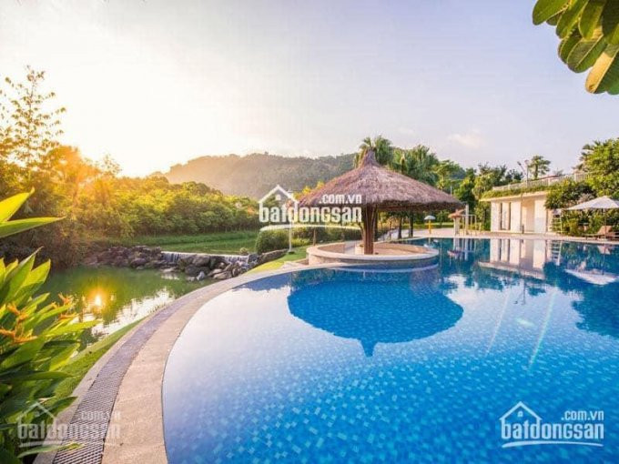 Chính Chủ Hạ Giá 3 Tỷ Bán Căn Biệt Thự Xanh Villas B5-21 Mặt Suối Ngọc đẹp, Dt 500m2, Giá 165 Tỷ 6