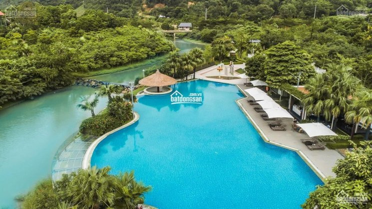 Chính Chủ Hạ Giá 3 Tỷ Bán Căn Biệt Thự Xanh Villas B5-21 Mặt Suối Ngọc đẹp, Dt 500m2, Giá 165 Tỷ 8