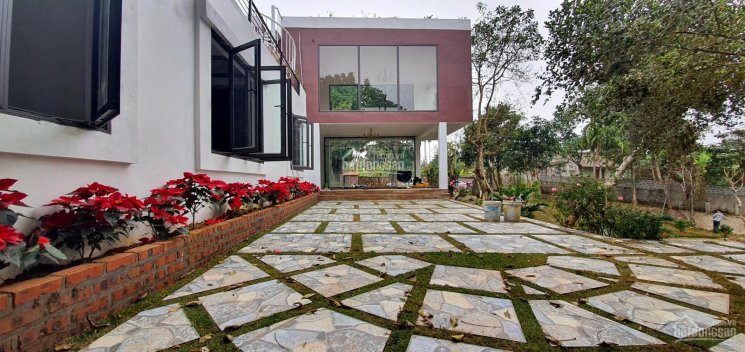 Chuyển Nhượng 2000m2 Khuôn Viên Hoàn Thiện Tại Cư Yên, Lương Sơn, Hòa Bình 5