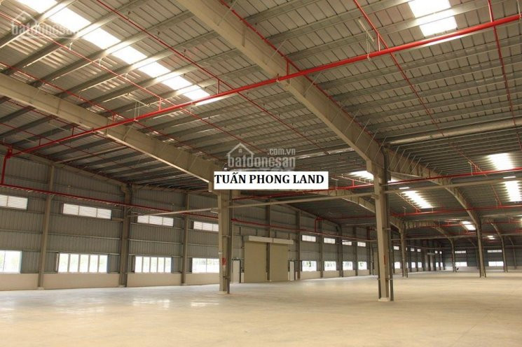 Công Ty Cần Cho Thuê Xưởng Giao Ngay Trong Kcn Vinatex - Tân Tạo, Huyện Nhơn Trạch, Tỉnh đồng Nai 1