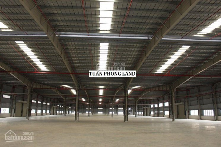 Công Ty Cần Cho Thuê Xưởng Giao Ngay Trong Kcn Vinatex - Tân Tạo, Huyện Nhơn Trạch, Tỉnh đồng Nai 2