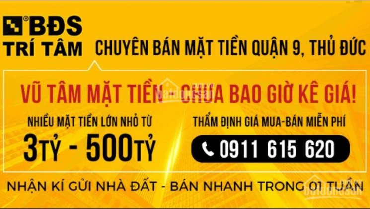 Cty Bđs Trí Tâm: Mặt Tiền Lê Văn Việt, Dt 20x30=600m2 Công Nhận, Giá Chỉ 65 Tỷ 1