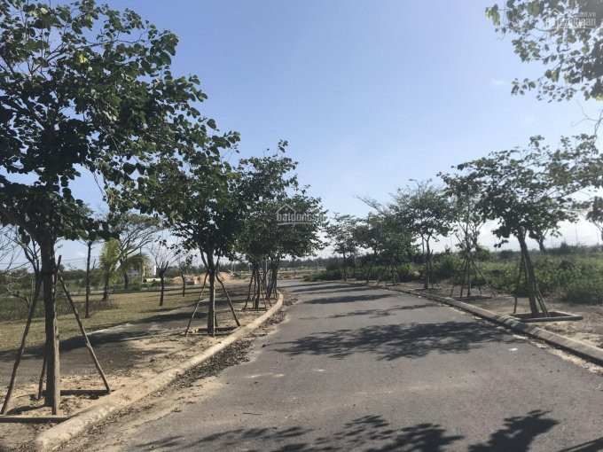 đất Biệt Thự Fpt City đà Nẵng Góc Ngã Tư 2 Mặt Tiền 276,1m2, Hướng đông Nam, Sổ Lâu Dài 5