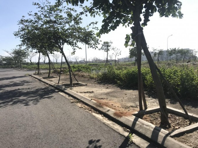 đất Biệt Thự Fpt City đà Nẵng Góc Ngã Tư 2 Mặt Tiền 276,1m2, Hướng đông Nam, Sổ Lâu Dài 7