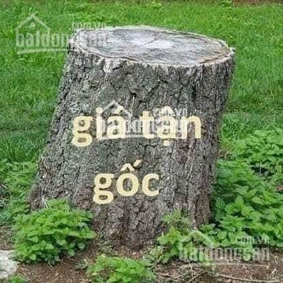 đất Nền Kcn Dầu Giây Thống Nhất Vị Trí độc Tôn đón đầu Làn Sóng Tăng Giá : 0922201115 1