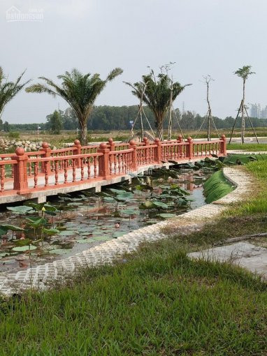 đất Vàng Thành Phố Nhơn Trạch, Ngay Trung Tâm Hành Chính Nhơn Trạch, Sổ Hồng Riêng 6