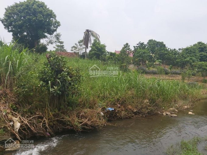 đất Vàng Trong Làng Nghỉ Dưỡng Với 2000m2, Lô Góc 2 Mặt đường Với Dòng Suối Tự Nhiên Trong Xanh 4