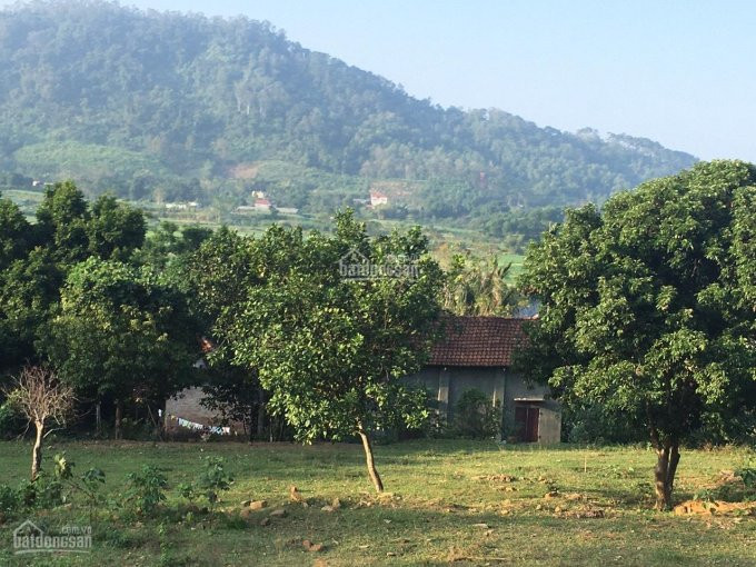 Dt: 3000m2 Chính Chủ Cần Bán Gấp Lô đất View Thoáng đẹp Tại Yên Bài, Ba Vì, Hà Nội 1