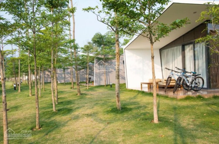 Duy Nhất 1 Căn Biệt Thự Forest Mặt Hồ Sổ đỏ 400m2, Chìa Khóa Trao Tay Ngay, Nhận Lợi Nhuận Ngay 2