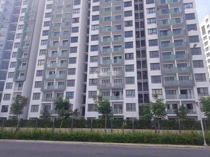 Emerald - Chính Chủ Block F - 71 M2 - 3,25 Tỷ - Nhà Mới View Nội Khu H đông Bắc - 0932424238 5