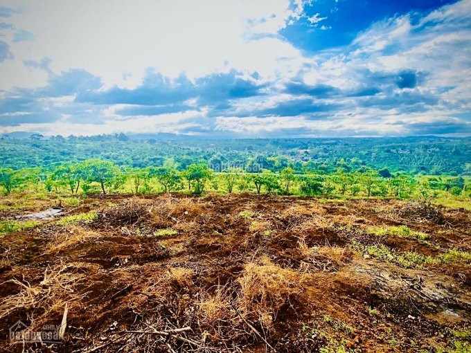 Gia đình Kẹt Tiền Bán Gấp Lô đất Ngay Trung Tâm, View Bao đẹp, Có Sổ Và Lên Full Thổ Cư, Giá Rẻ 5