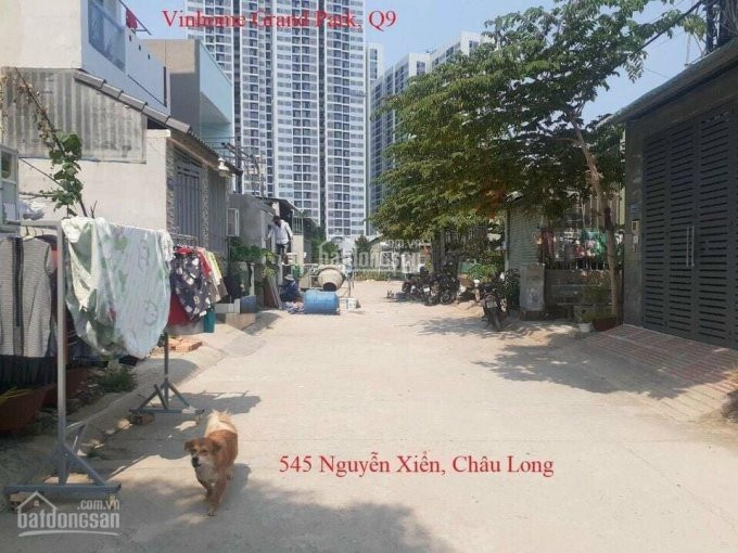 Hàng Ngộp Ra Trước Tết, Châu Long Nguyễn Xiển 2ty650 Chốt 1