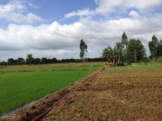 Hơn 6 Sào đất Chnk Thuộc Quy Hoạch đất ở Tại Xã Ninh An 1