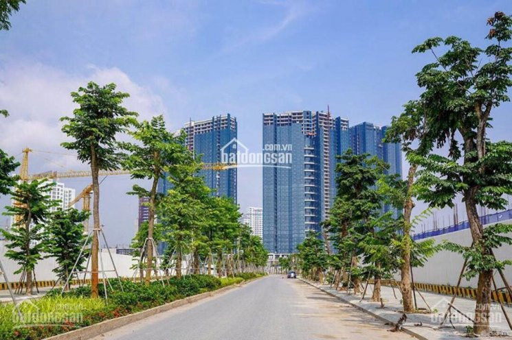 Hướng Nam, View Nội Khu, Căn Hộ 3pn, 2 Ban Công, 99m2 Giá 368 Tỷ ở Sunshine City, Cạnh Vườn Treo 8