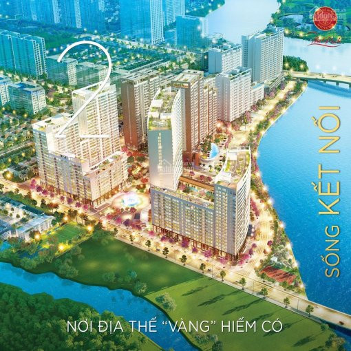 Lý Do Nên Mua Căn Hộ The Peak - Midtown Với Giá Trị Sinh Lời Cao, đáng để đầu Tư Và Mua ở 4