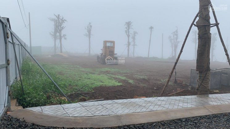 Mua đất Giai đoạn đầu Luôn, đem Lại Lợi Nhuận Cao Nhất Cho Nhà đầu Tư 7