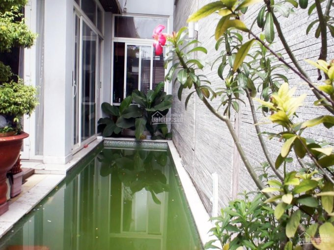 Nhà Có Hồ Bơi, Thiết Kế Hiện đại 7x25m, Rất Thiện Chí Bán 2