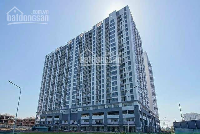 Shophouse Mặt Tiền Q7, Liền Kề Phú Mỹ Hưng, Chỉ 8 Tỷ/căn 5