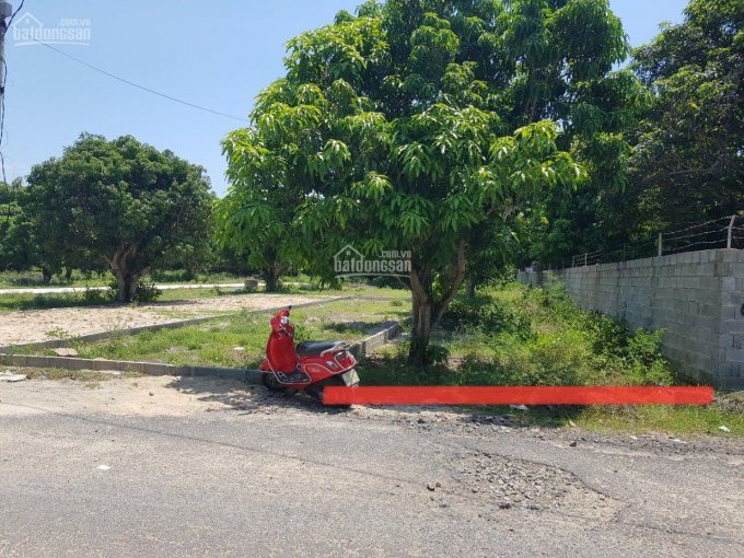 Siêu Phẩm Cuối Năm - Lô đất đối Diện Trung Cấp Nghề Cam Lâm Chỉ 6tr3/m2 đường Nhựa 13m Liên Xã 3