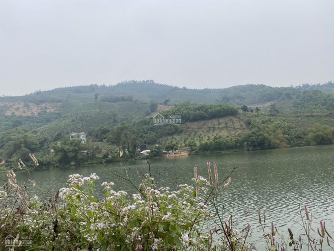 Siêu Phẩm Nghỉ Dưỡng View Bám Hồ Tại Lương Sơn - Hoà Bình, Giá Chỉ Vài Trăm Nghìn/m2 1